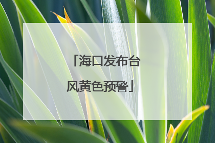 海口发布台风黄色预警