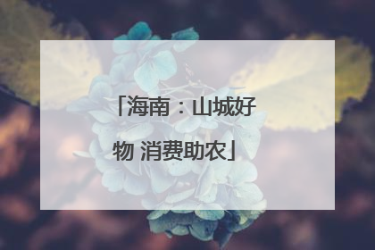 海南：山城好物 消费助农