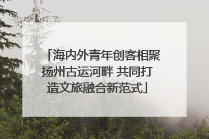 海内外青年创客相聚扬州古运河畔 共同打造文旅融合新范式