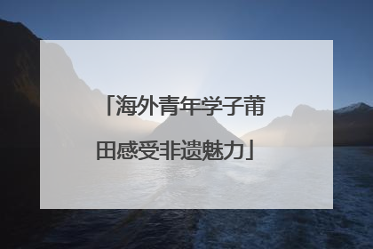 海外青年学子莆田感受非遗魅力