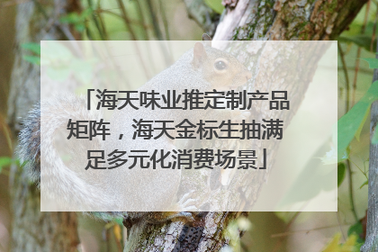 海天味业推定制产品矩阵，海天金标生抽满足多元化消费场景