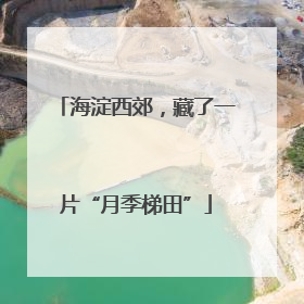 海淀西郊，藏了一片“月季梯田”