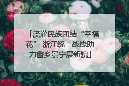 浇灌民族团结“幸福花” 浙江统一战线助力畲乡景宁展新貌