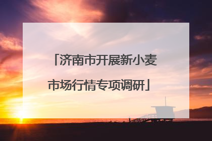 济南市开展新小麦市场行情专项调研
