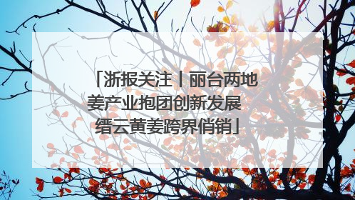 浙报关注丨丽台两地姜产业抱团创新发展 缙云黄姜跨界俏销