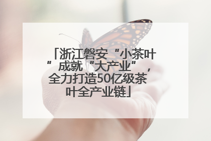浙江磐安“小茶叶”成就“大产业”，全力打造50亿级茶叶全产业链