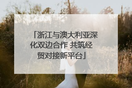 浙江与澳大利亚深化双边合作 共筑经贸对接新平台