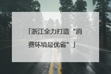 浙江全力打造“消费环境最优省”