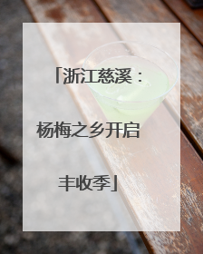 浙江慈溪：杨梅之乡开启丰收季