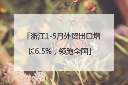 浙江1-5月外贸出口增长6.5%，领跑全国