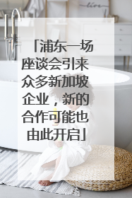 浦东一场座谈会引来众多新加坡企业，新的合作可能也由此开启