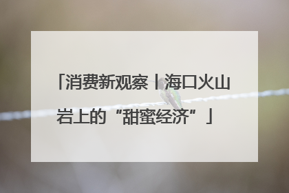 消费新观察丨海口火山岩上的“甜蜜经济”