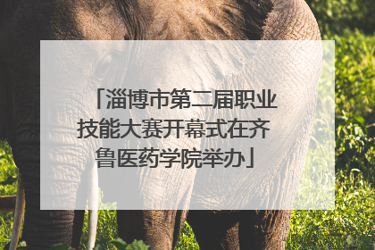 淄博市第二届职业技能大赛开幕式在齐鲁医药学院举办