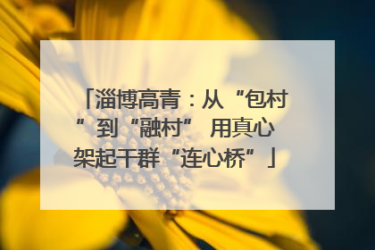 淄博高青：从“包村”到“融村” 用真心架起干群“连心桥”