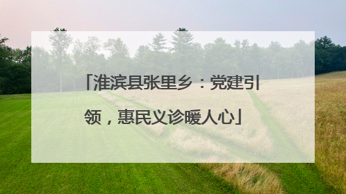 淮滨县张里乡：党建引领，惠民义诊暖人心