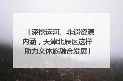 深挖运河、非遗资源内涵，天津北辰区这样助力文体旅融合发展