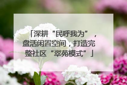 深耕“民呼我为”，盘活闲置空间，打造完整社区“翠苑模式”
