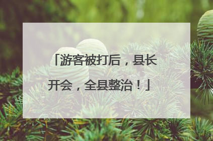 游客被打后，县长开会，全县整治！