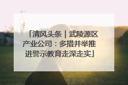 清风头条｜武陵源区产业公司：多措并举推进警示教育走深走实