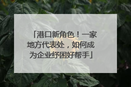 港口新角色！一家地方代表处，如何成为企业纾困好帮手