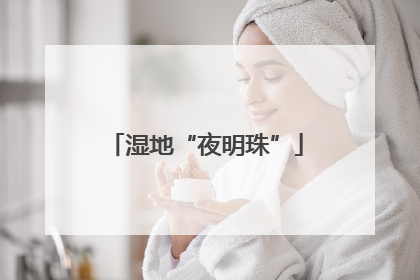 湿地“夜明珠”
