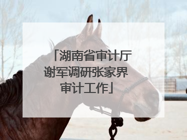 湖南省审计厅谢军调研张家界审计工作