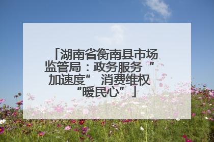 湖南省衡南县市场监管局：政务服务“加速度” 消费维权“暖民心”