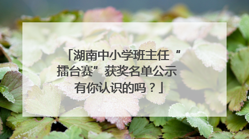 湖南中小学班主任“擂台赛”获奖名单公示 有你认识的吗？