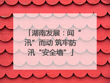 湖南发展：闻“汛”而动 筑牢防汛“安全墙”