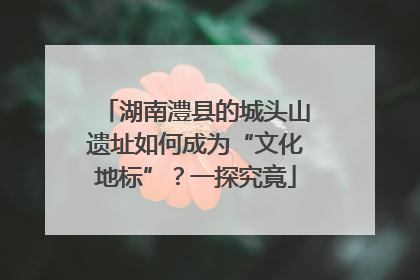 湖南澧县的城头山遗址如何成为“文化地标”？一探究竟