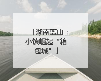 湖南蓝山：小镇崛起“箱包城”