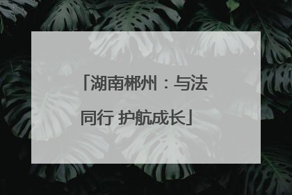 湖南郴州：与法同行 护航成长