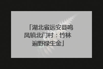 湖北省远安县鸣凤镇北门村：竹林遍野绿生金