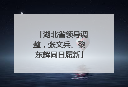 湖北省领导调整，张文兵、黎东辉同日履新