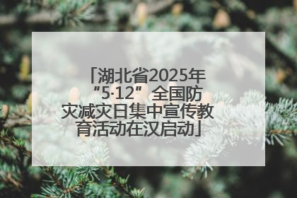 湖北省2025年“5·12”全国防灾减灾日集中宣传教育活动在汉启动