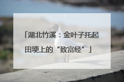 湖北竹溪：金叶子托起田埂上的“致富经”