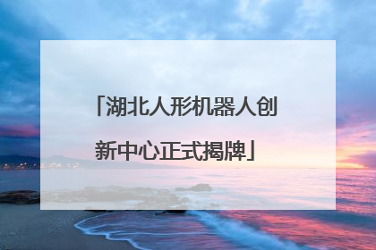 湖北人形机器人创新中心正式揭牌