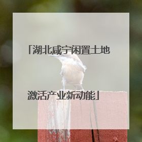 湖北咸宁闲置土地激活产业新动能