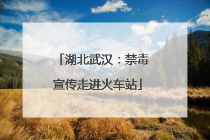湖北武汉：禁毒宣传走进火车站