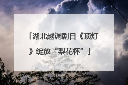 湖北越调剧目《顶灯》绽放“梨花杯”