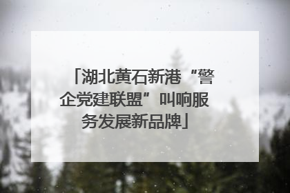 湖北黄石新港“警企党建联盟”叫响服务发展新品牌