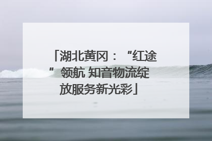 湖北黄冈：“红途”领航 知音物流绽放服务新光彩