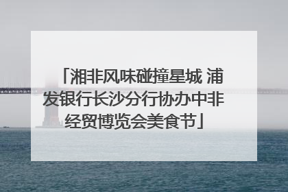 湘非风味碰撞星城 浦发银行长沙分行协办中非经贸博览会美食节