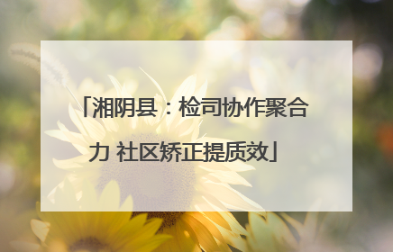 湘阴县：检司协作聚合力 社区矫正提质效