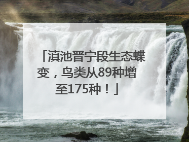 滇池晋宁段生态蝶变，鸟类从89种增至175种！