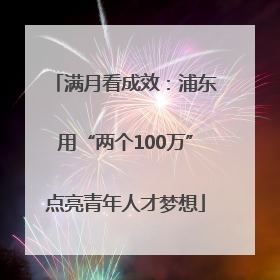 满月看成效：浦东用“两个100万”点亮青年人才梦想