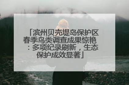 滨州贝壳堤岛保护区春季鸟类调查成果惊艳：多项纪录刷新，生态保护成效显著