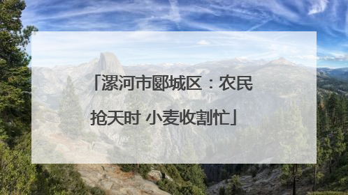 漯河市郾城区：农民抢天时 小麦收割忙