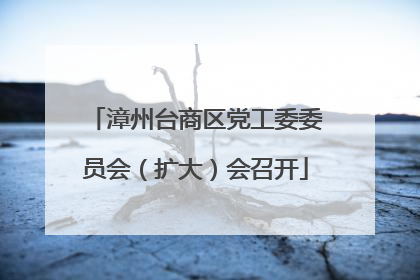 漳州台商区党工委委员会（扩大）会召开