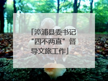 漳浦县委书记“四不两直”督导文旅工作
